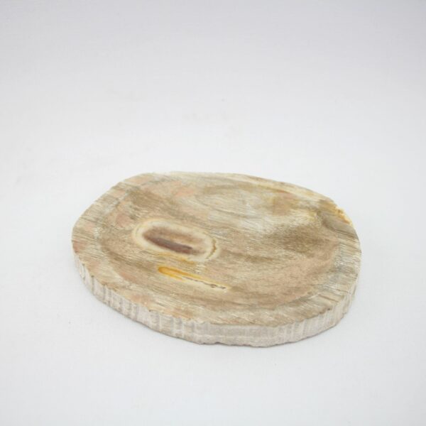 Seifenschale Holz versteinert