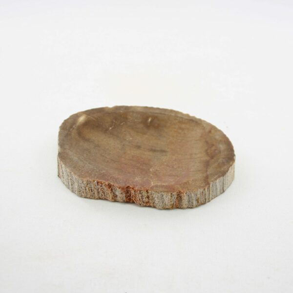 Seifenschale Holz versteinert – Bild 2