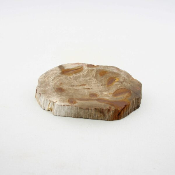 Seifenschale Holz versteinert – Bild 3